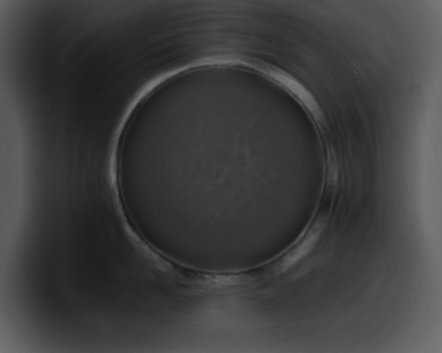 X0000100420958200806061400