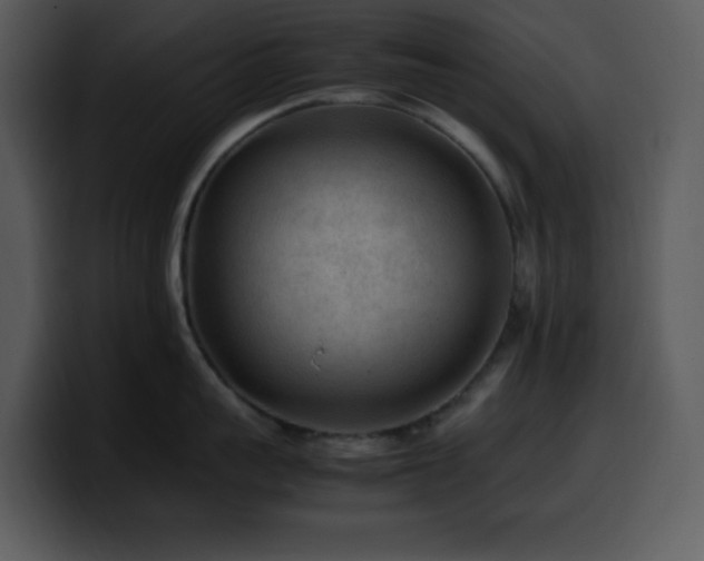X0000100420959200806061400