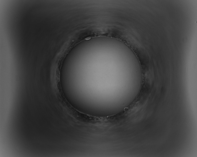 X0000100420961200806061359