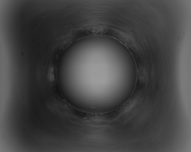X0000100420962200806061359