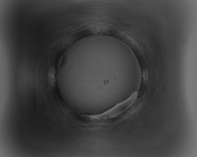 X0000100420963200806061359