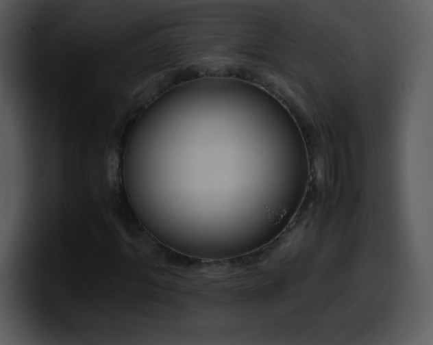 X0000100420964200806061359