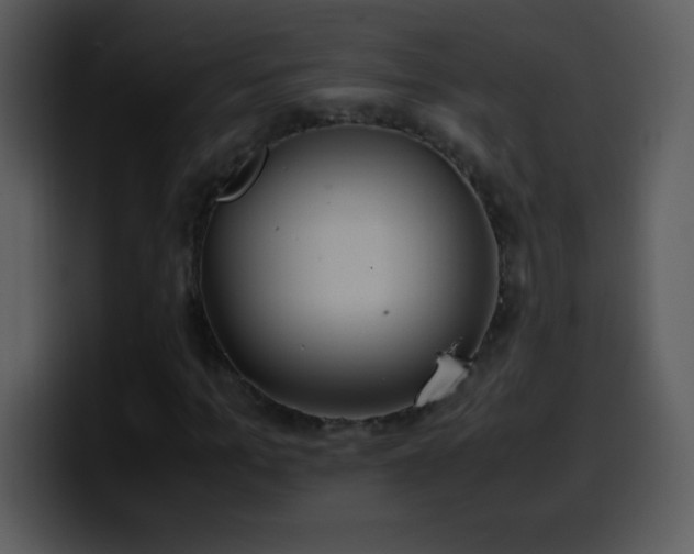 X0000100420965200806061359