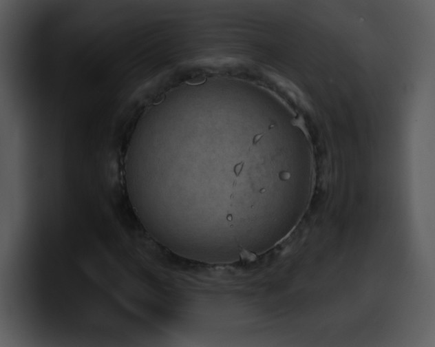 X0000100420966200806061359