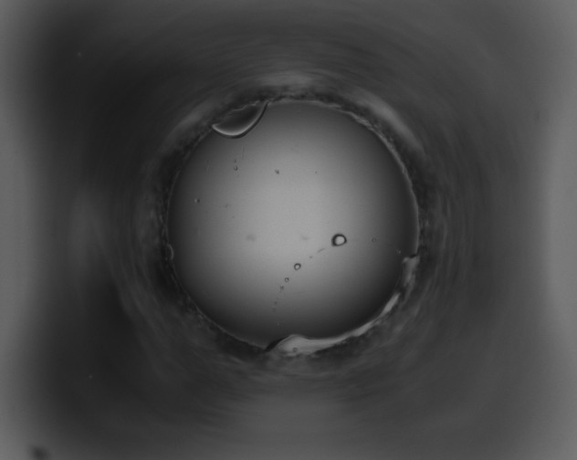 X0000100420967200806061359