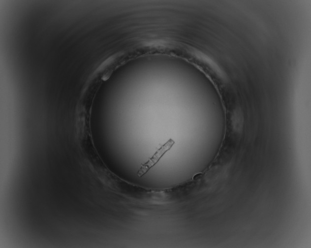 X0000100420968200806061359