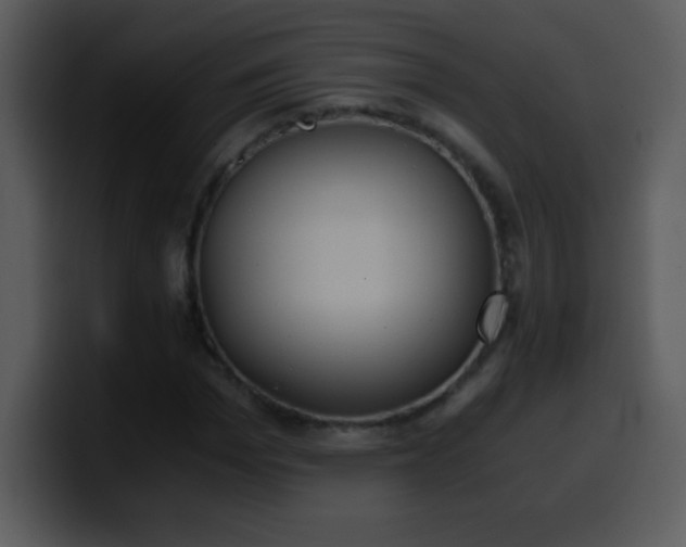 X0000100420969200806061359