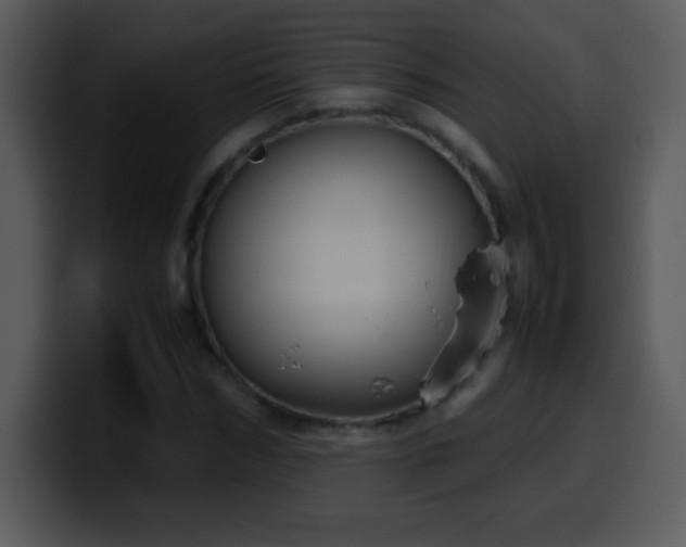 X0000100420970200806061359