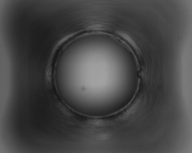 X0000100420971200806061359