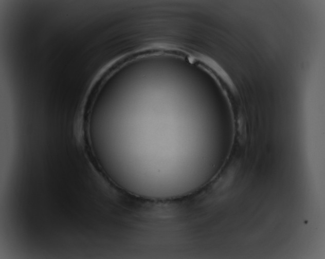 X0000100420972200806061359
