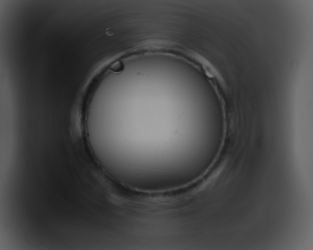 X0000100420973200806061359
