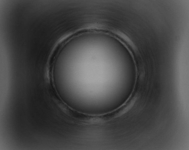 X0000100420974200806061359