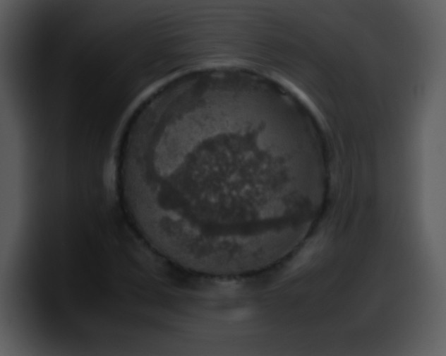 X0000100420975200806061359