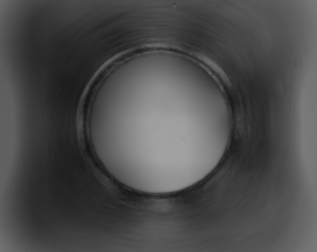 X0000100420976200806061359
