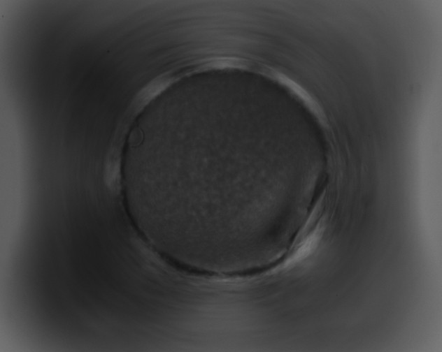 X0000100420977200806061359