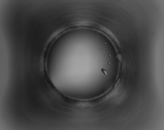 X0000100420978200806061359
