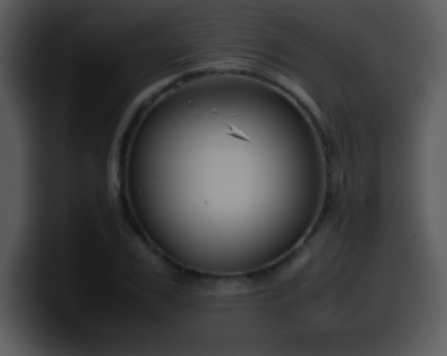 X0000100420979200806061359