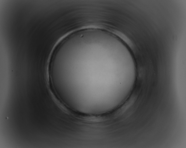 X0000100420980200806061359