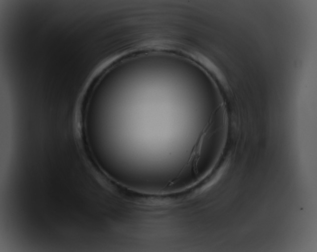 X0000100420981200806061359