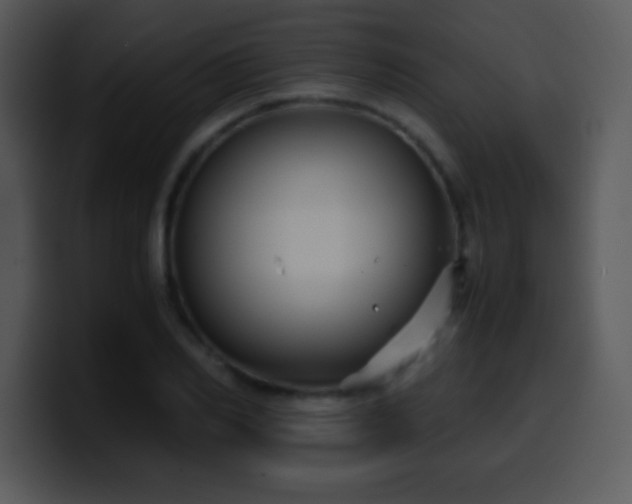 X0000100420982200806061359