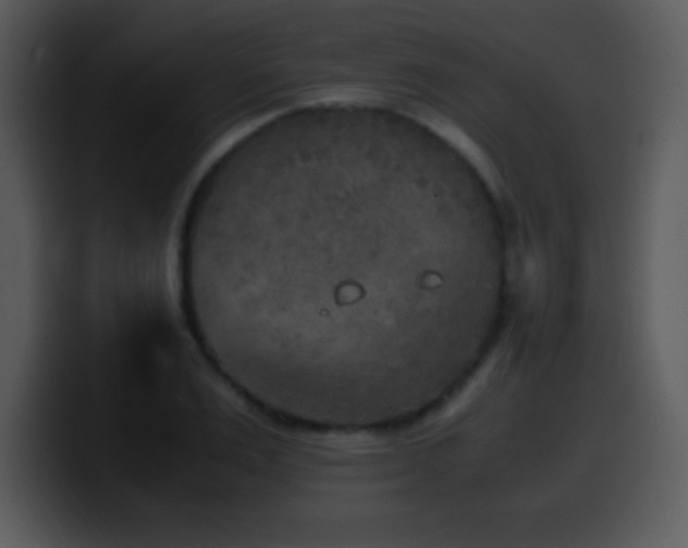 X0000100420983200806061359