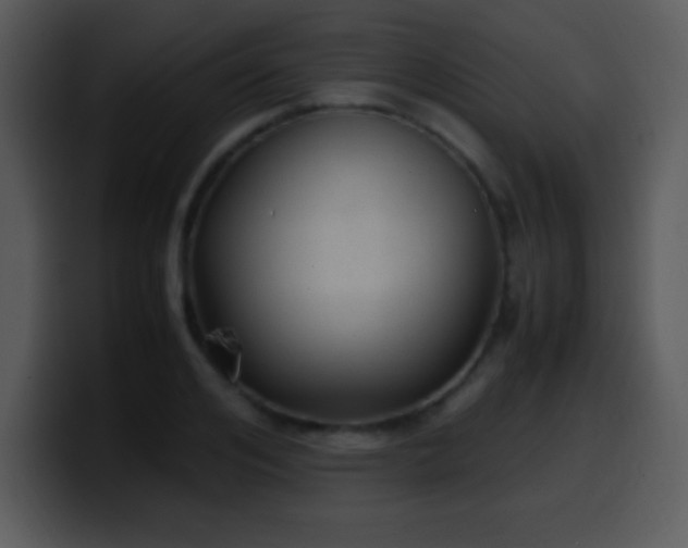 X0000100420984200806061359