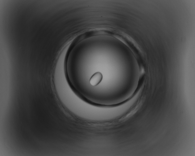 X0000100420985200806061359