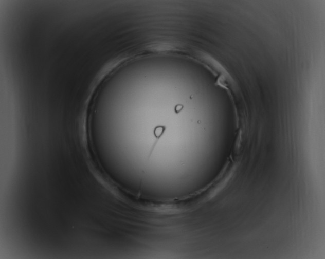 X0000100420986200806061359