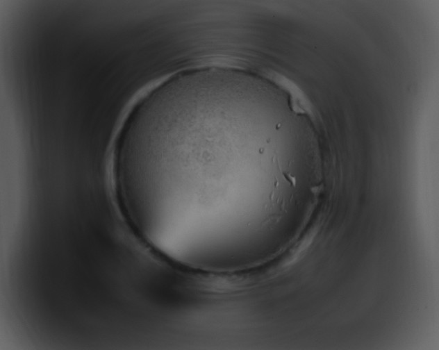 X0000100420987200806061359