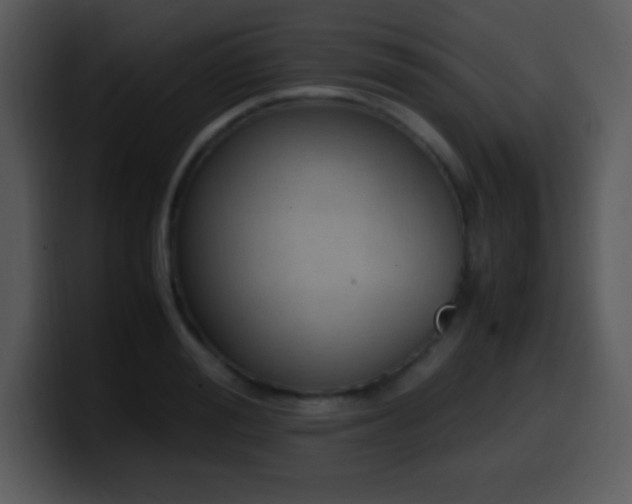 X0000100420988200806061359