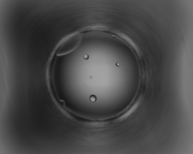 X0000100420989200806061359