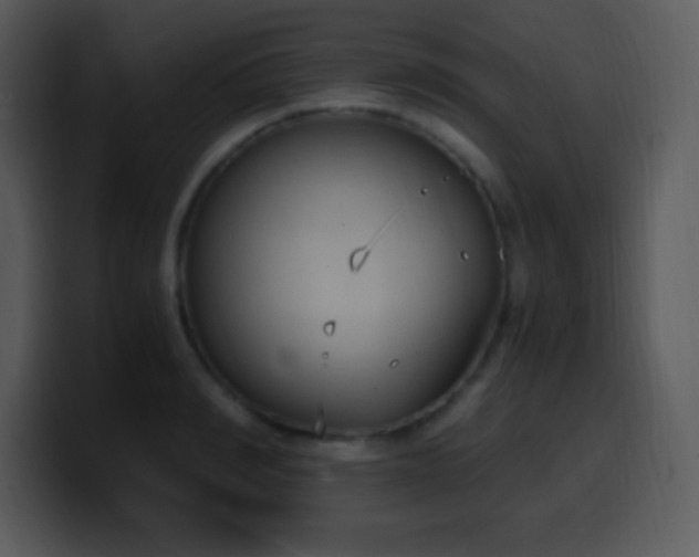 X0000100420990200806061359