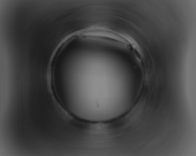 X0000100420992200806061359