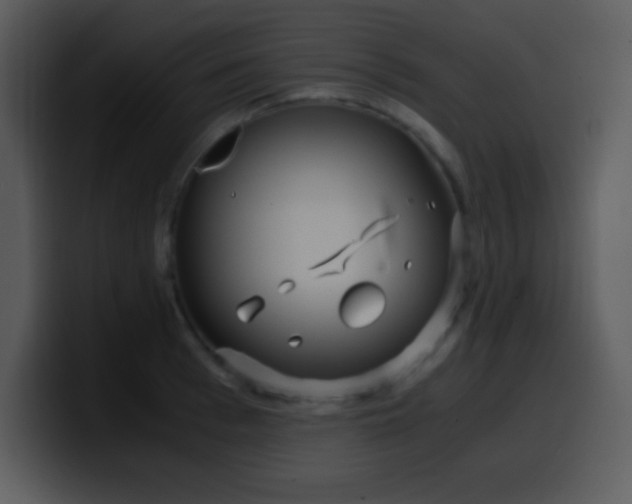 X0000100420993200806061359