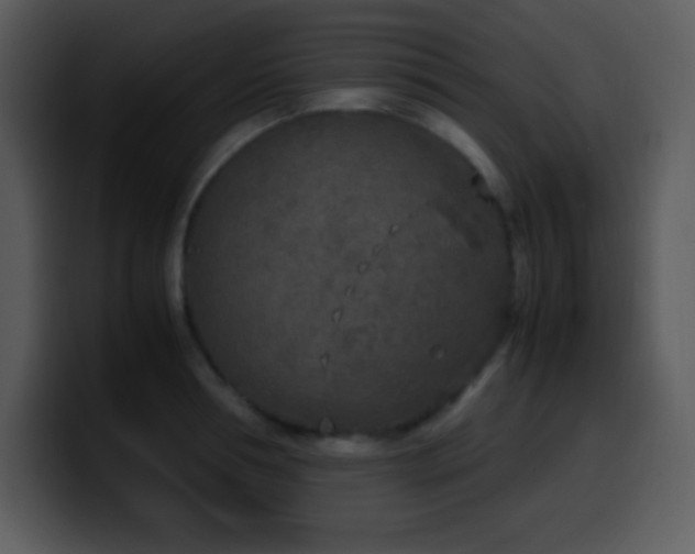 X0000100420994200806061359