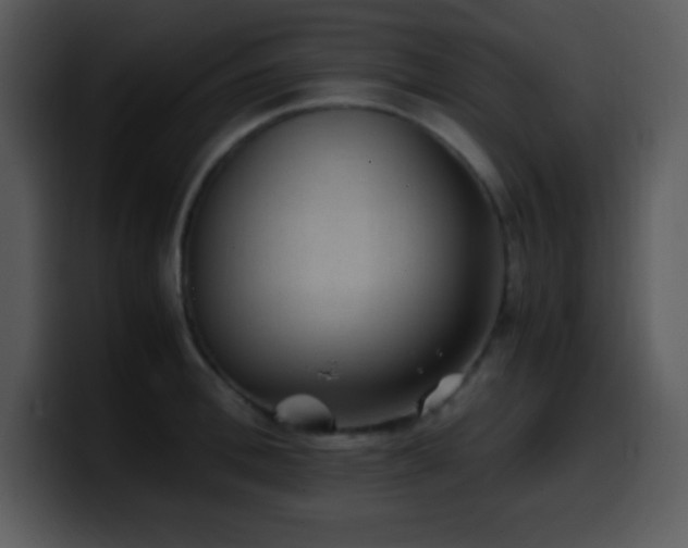 X0000100420996200806061359