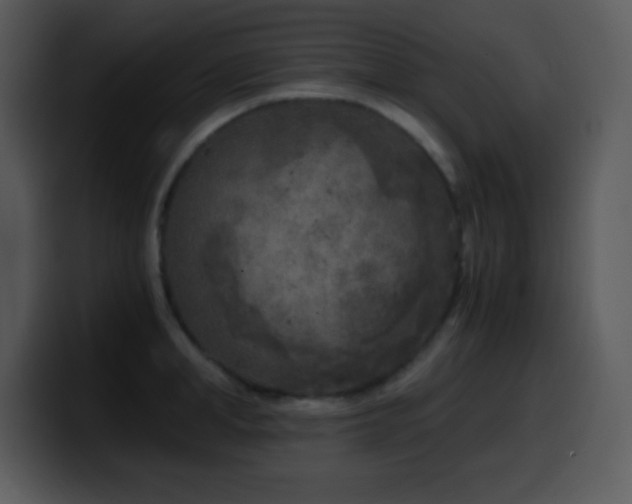 X0000100420998200806061359
