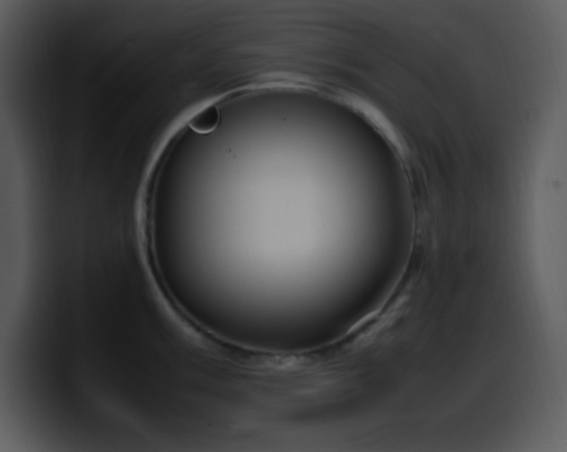 X0000100421003200806061359