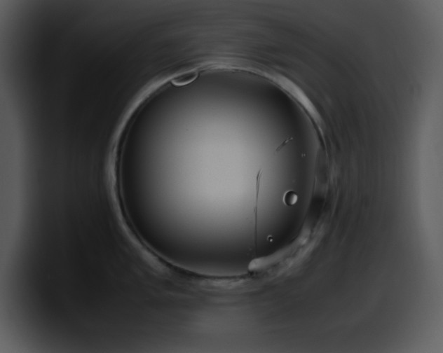 X0000100421005200806061359