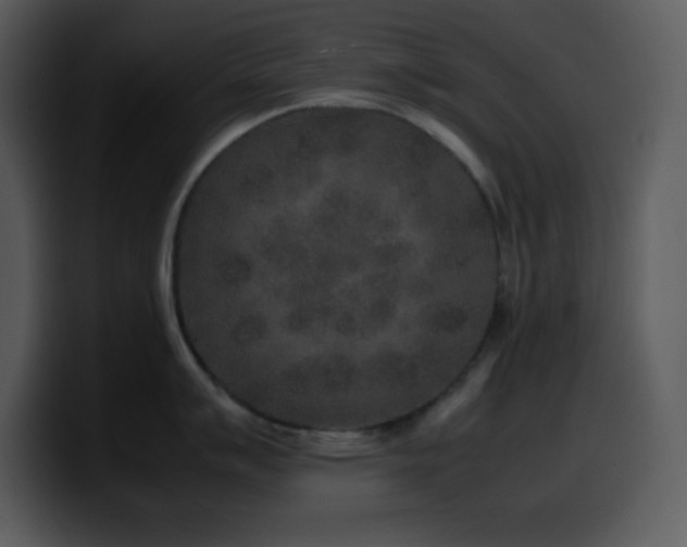 X0000100421007200806061359