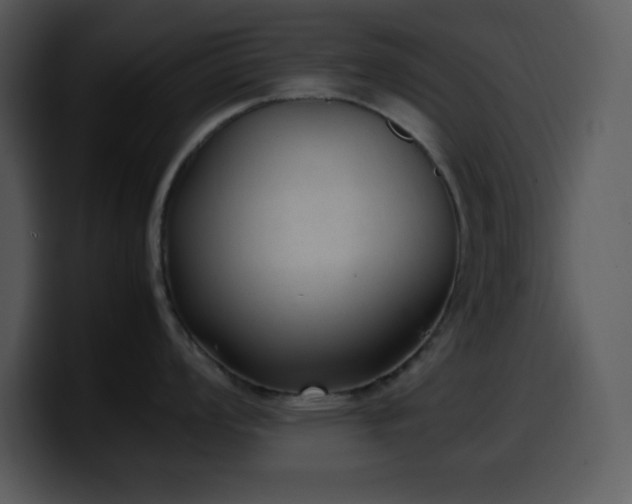 X0000100421008200806061359