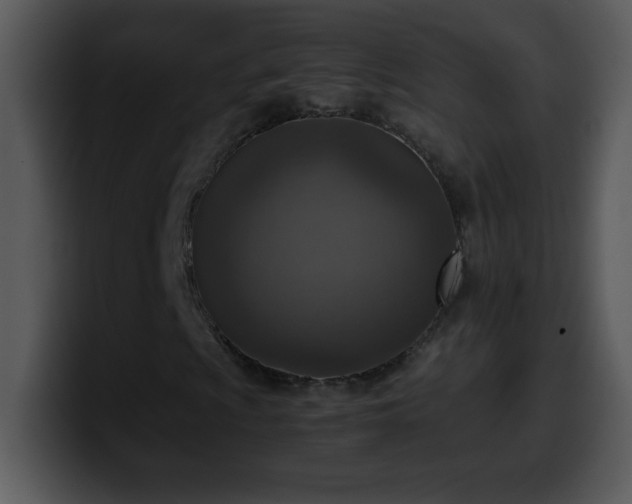 X0000100421009200806061358