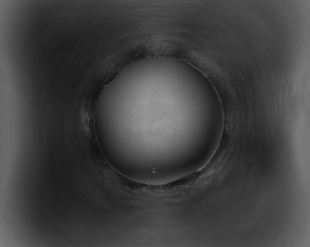 X0000100421010200806061358