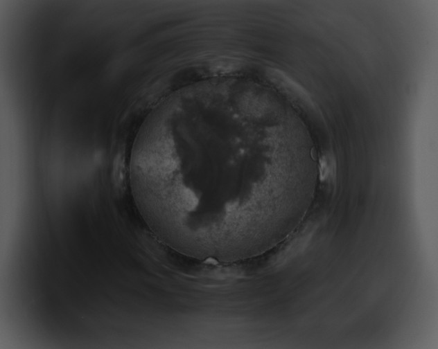 X0000100421011200806061358