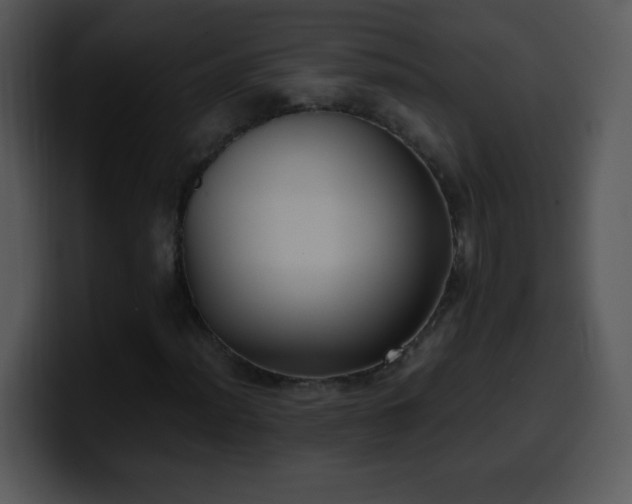 X0000100421012200806061358