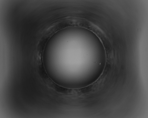 X0000100421013200806061358