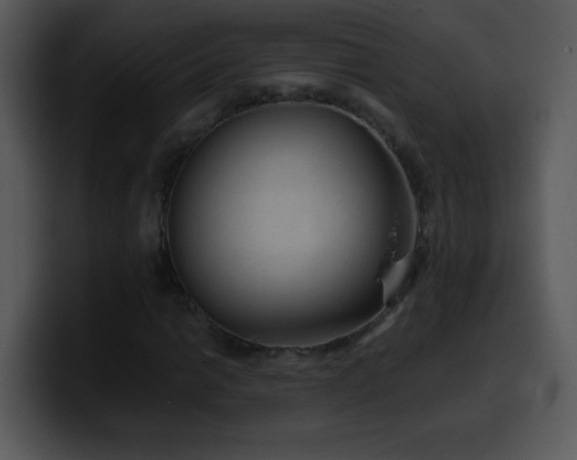 X0000100421014200806061358