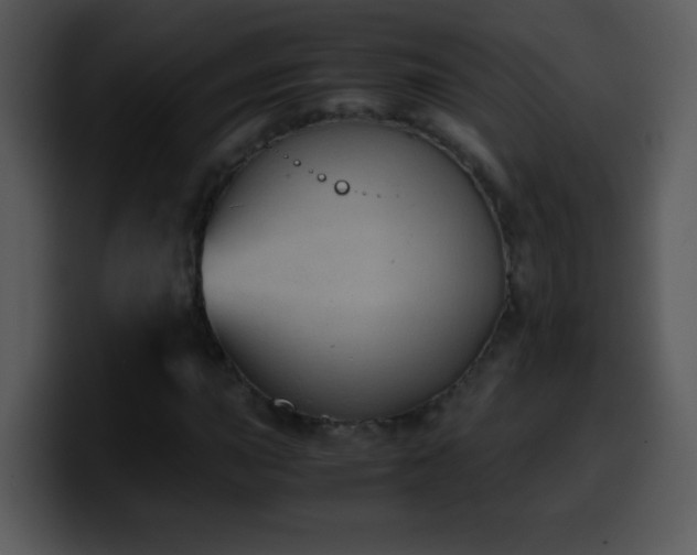 X0000100421015200806061358
