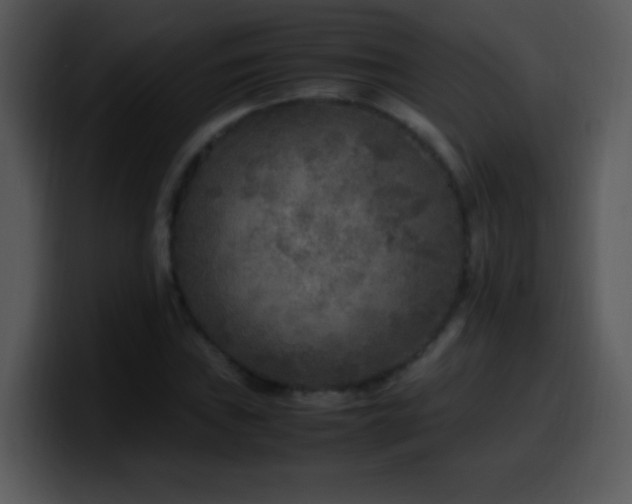 X0000100421019200806061358