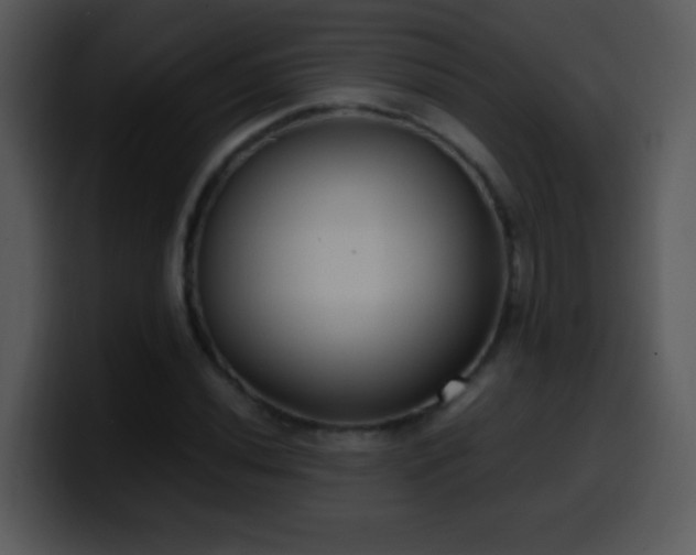 X0000100421020200806061358